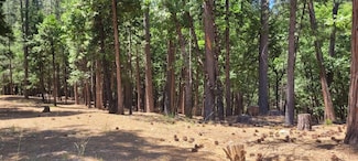 4790 Sierra Springs Dr, Pollock Pines, CA 95726