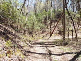 000 Fresh Water Ridge Rd, Whittier, NC 28789