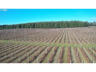 0 Pioneer Rd Unit 22466268, Dallas, OR 97338