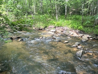 0 Vein Mountain Rd Unit LotWP001 23713547, Nebo, NC 28761