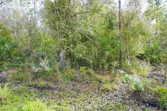 23447 Corinne Ave, Port Charlotte, FL 33980