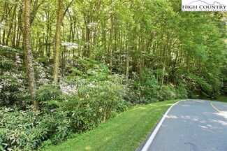 124 Elk River Pkwy, Banner Elk, NC 28604