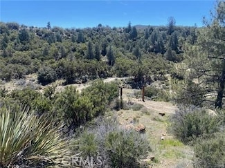 0 Hwy 371 Unit SW24155722, Anza, CA 92539