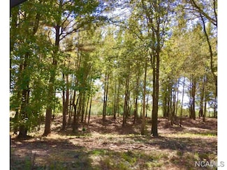 4211 Co Rd 1669, Cullman, AL 35058