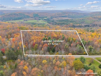 0 Dawson Hill Rd, Spencer, NY 14883