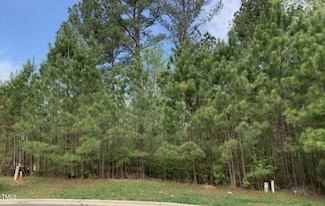 68 Larkspur Ct, Hadley, NC 27312