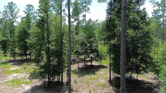 lot 15 Pineview Church Rd, Jay, FL 32565