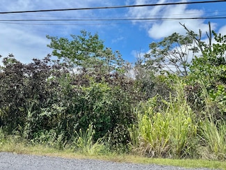 0 4th Ave Unit 723225, Hawaiian Paradise Park, HI 96749