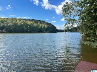 Lot 41 County Road 264, Wedowee, AL 36278