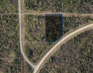 TBD County Road 35, Deer River, MN 56636