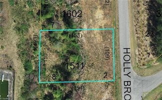 000 Holly Brook St, North Wilkesboro, NC Holly