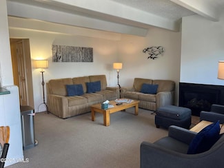 508 E Lionshead Cir Unit 310/week 8, Vail, CO 81657