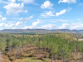 0 County Road 62 Unit 22412009, Gaylesville, AL 35973