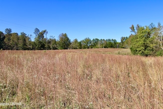 000 Old Stage Rd, Decaturville, TN 38329