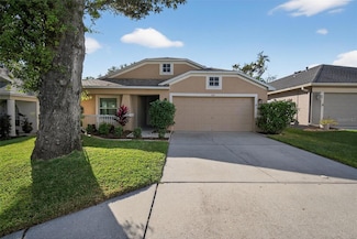 3519 Gray Whetstone St, Brandon, FL 33511