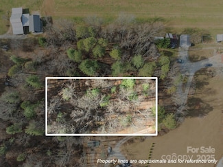 99999 Twin Lakes Dr, Dana, NC 28731