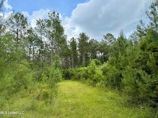 0 Sones Chapel Rd, Carriere, MS 39426