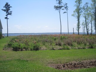 Lot 47 W Dowry Creek, Pantego, NC 27810