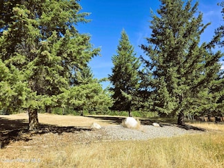 NKA S Reagan Dr, Coeur D'Alene, ID 83814