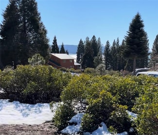 3333 Cedar Ln, Hamilton Branch, CA 96137