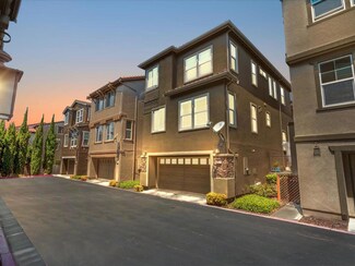 413 Bent Grass Terrace, Fremont, CA 94539