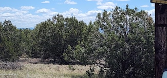 12b Juniperwood Ranch, Ash Fork, AZ 86320