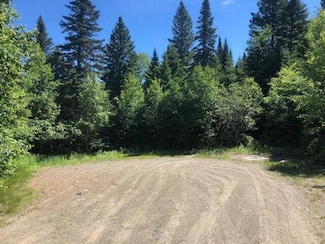Lot 58 Left Branch Rd, Sandy River, ME 04970