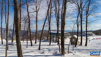 326 Dobie Condos, Wintergreen Resort, VA 22967