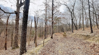 288 Crossroads Dr, Flint Creek, OK 74347