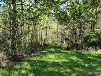 0 E Merlot Ln Unit NWM2298512, Shelton, WA 98584