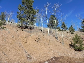 185 No Name Ln, Cripple Creek, CO 80813