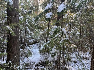 00 County Hill Rd, Barnet, VT 05821