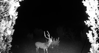 0000 Oak Bend Ranch Lot 34, Rocksprings, TX 78880