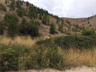 0 Johnson Creek Rd Unit 856411, Chelan, WA 98816