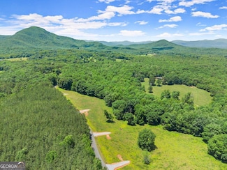 0 Arthur Allen Rd Unit 10646088, Cleveland, GA 30528