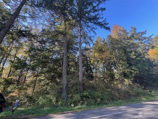 0 Tyee Dr, Point Roberts, WA 98281