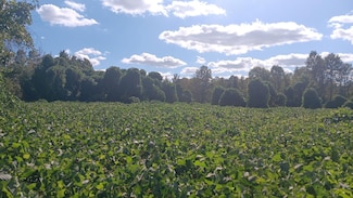 0 Cypress Creek Dr, Louisburg, NC 27549