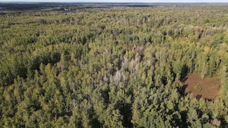 0 Easton Rd, Buckeye Township, MI 48624