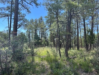 16 Homewood Dr Unit 36, Timberon, NM 88350