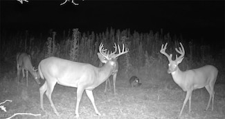 0 Emerick Rd, Franklin Township, OH 44427