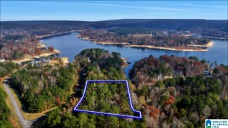 0 Long Point Rd Unit 21437458, Double Springs, AL 35553