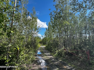 13468 W Cherrywood Dr, Wasilla, AK 99652