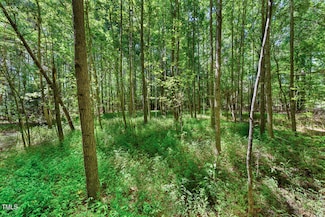 4110 Wilson Town Rd, Oxford, NC 27565