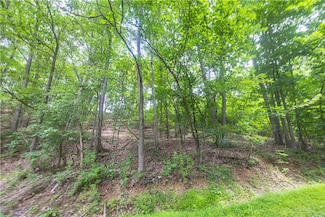 0 Alpine Ln Unit 1706795, Franklin Township - Fay, PA 15480