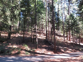 172 Sylvan Rd, Colfax, CA 95713