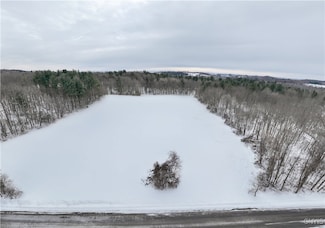 0 Hoffman Rd Unit S1586059, Dolgeville, NY 13329