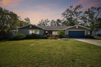 18845 Tracer Dr, Lutz, FL 33549