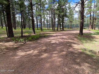 25 Cr 2267, Alpine, AZ 85920