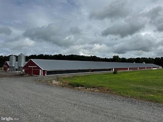 4689 Woodpecker Rd, Seaford, DE 19973