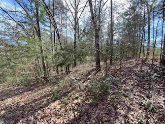 0 E Clinton Place, Heber Springs, AR 72543